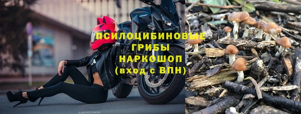 COCAINE Горно-Алтайск