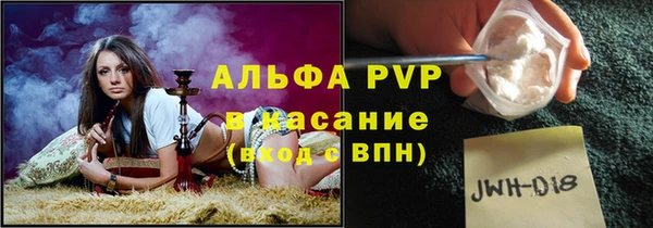 хмурый Горняк