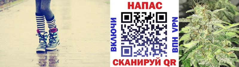 Шишки марихуана семена  mega ССЫЛКА  Белгород 